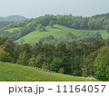 牧場の風景 11164057