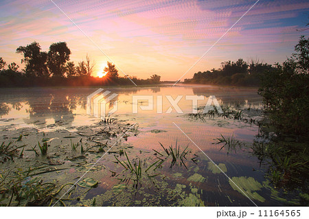 Sunrise over the lake with reflection of bare trees in the water. 11164565