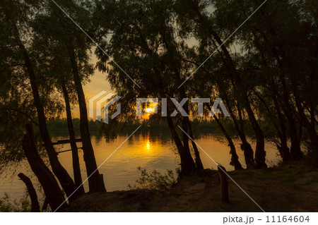 Sunrise over the lake with reflection of bare trees in the water. Sunrise over the lake with reflection of bare trees in the water. 11164604