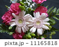 花束 11165818