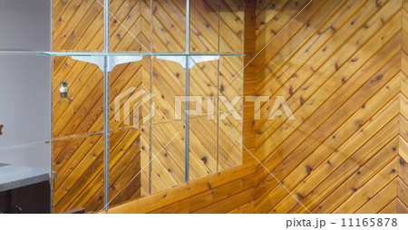 Mirror 11165878