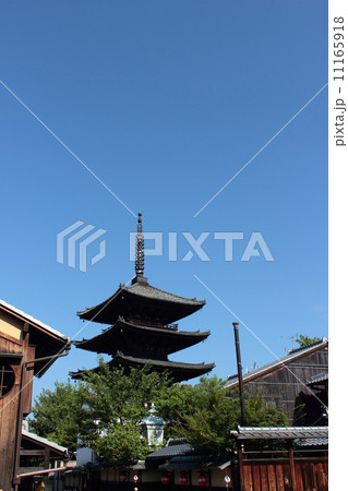 京都　八坂の塔 11165918