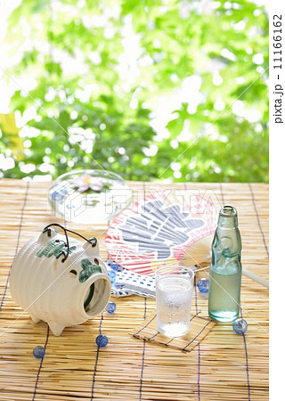 夏のイメージ　豚蚊取り 11166162