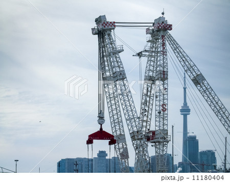 Crane with city in the background, CN Tower, Lake Ontario, Toron 11180404