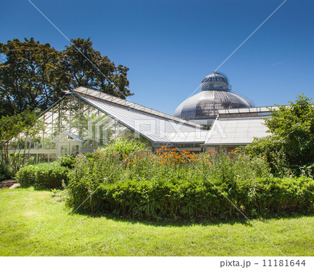 Plants in a greenhouse, Allan Gardens, Toronto, Ontario, Canada 11181644