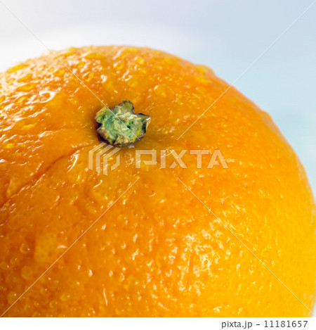 close-up of an orange isolated on a white background close-up of an orange isolated on a white background 11181657