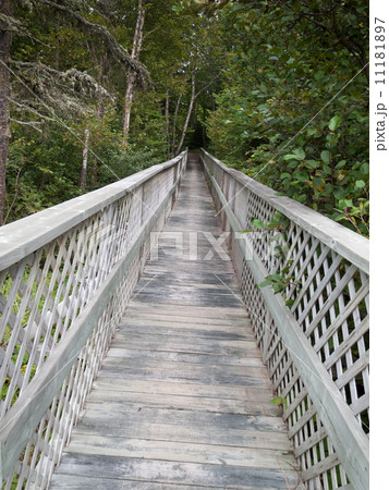 Bridge in a forest, Quebec, Canada Bridge in a forest, Quebec, Canada 11181897