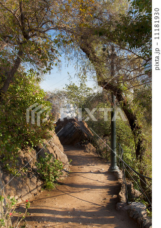 Track on hill, Santa Lucia Hill, Santiago, Chile 11181930