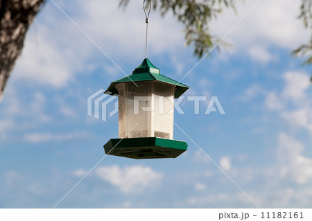Low angle view of a bird feeder, Tobermory, Ontario, Canada Low angle view of a bird feeder, Tobermory, Ontario, Canada 11182161