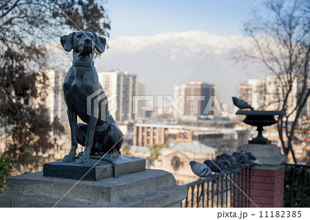Dog statue with city in the background, Santiago, Chile 11182385