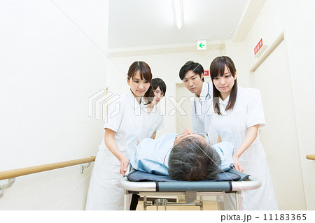 医療スタッフ 医療スタッフ 11183365