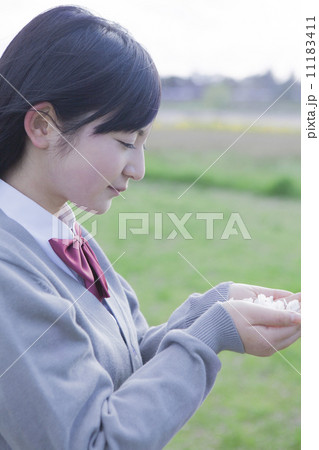 桜の花びらを持つ高校生 11183411
