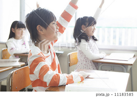 教室で勉強する小学生 11183585