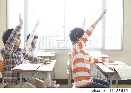 手をあげる小学生 11183616