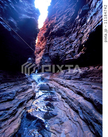 カリジニ国立公園(西オーストラリア州) カリジニ国立公園(西オーストラリア州) 11184742