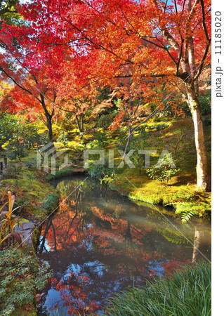 錦秋の天龍寺 11185020