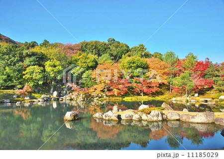 錦秋の天龍寺 11185029