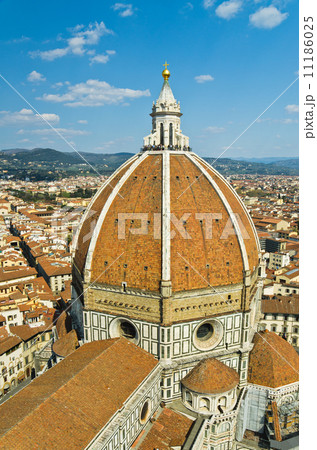 Santa Maria del Fiore in Florence, Italy 11186025