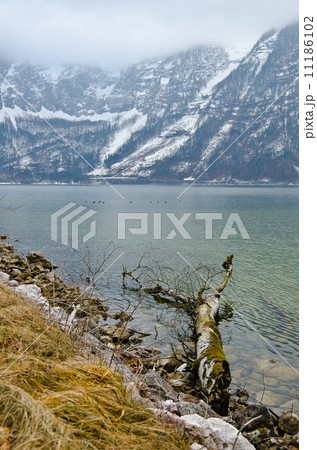 Hallstatt, Austria 11186102