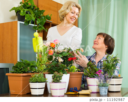Two elderly women with flowerpots Two elderly women with flowerpots 11192987
