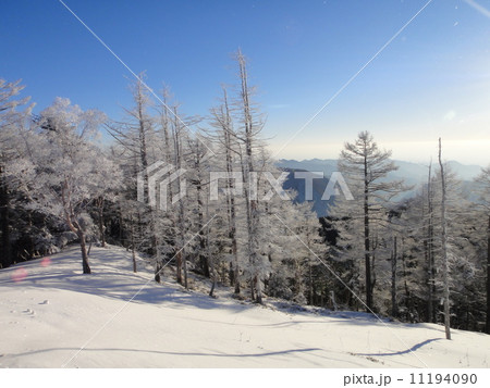 雲取山の樹氷 11194090