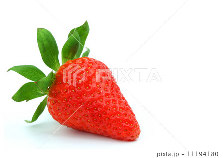 one strawberry one strawberry 11194180