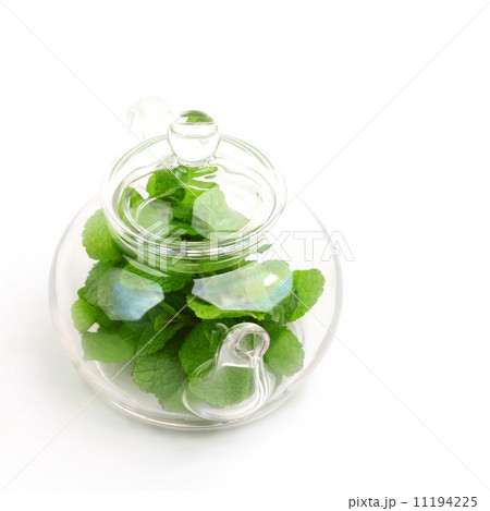 mint tea mint tea 11194225