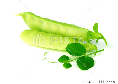 Pea isolated on white Pea isolated on white 11194449