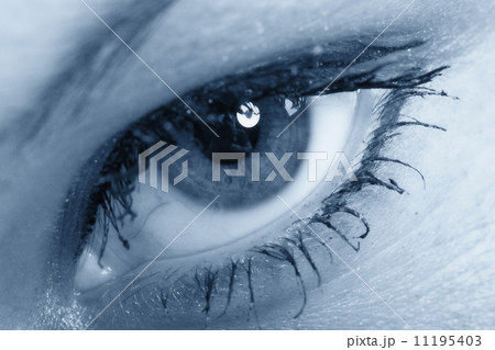 eye 11195403