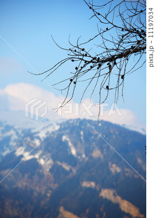 spring alps 11197034
