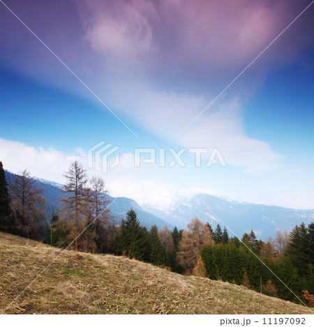 spring alps spring alps 11197092