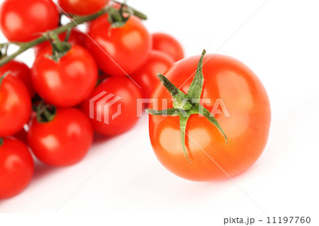 tomato background tomato background 11197760