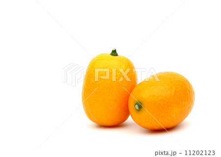 kumquat kumquat 11202123
