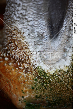 mineral springs 11202592