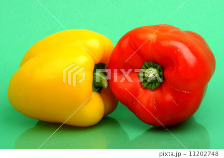 paprika on green 11202748