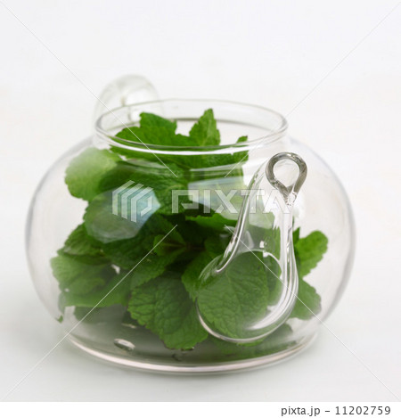 mint tea 11202759