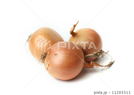 onion 11203311