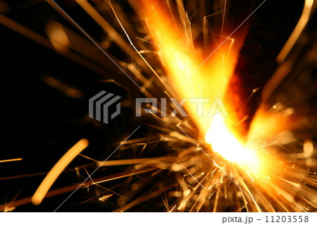 holiday sparkler 11203558