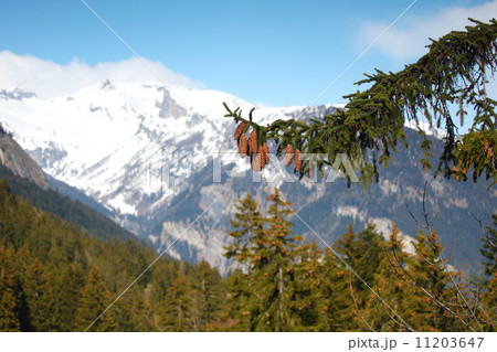 spring alps 11203647