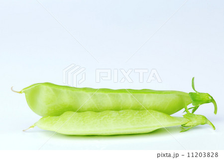 Pea isolated on white 11203828
