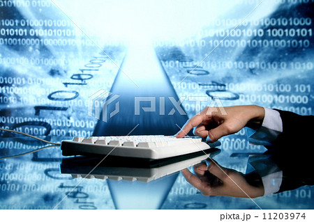 input data 11203974