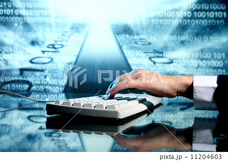 input data input data 11204603