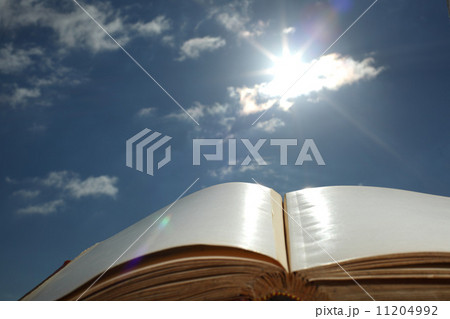 book of wisdom 11204992