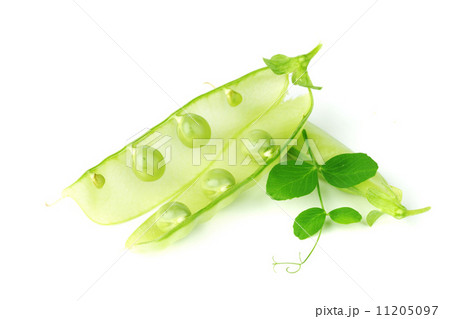 Pea isolated on white 11205097
