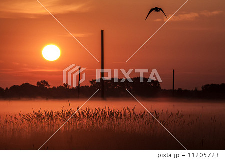 Landscape of morning sunrise 11205723