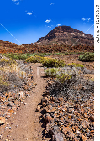 Volcano Teide in Tenerife island - Canary Volcano Teide in Tenerife island - Canary 11206630