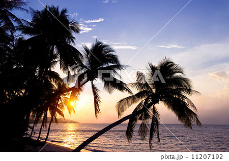 Samui island, Thailand 11207192