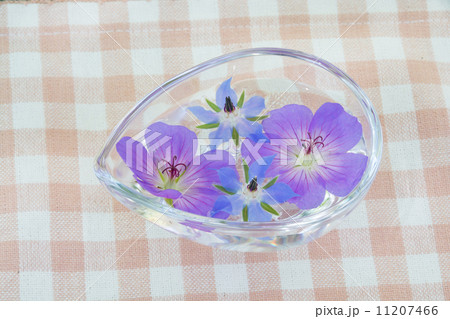 水に浮かべたボリジとフウロソウ 11207466