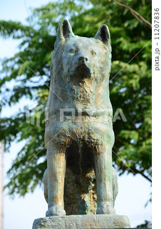 大館駅前のハチ公像♪ 大館駅前のハチ公像♪ 11207836