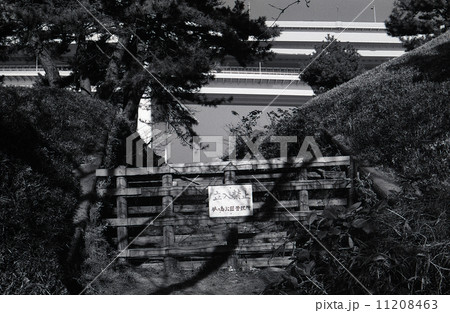 東京湾埋立地・お台場 1990年代の記録 東京湾埋立地・お台場 1990年代の記録 11208463